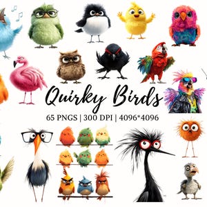 Paquete de imágenes prediseñadas de pájaros extravagantes en acuarela, imágenes prediseñadas de pájaros divertidos, imágenes prediseñadas de pájaros locos, imágenes prediseñadas de pájaros caprichosos, imágenes prediseñadas de pájaros caprichosos