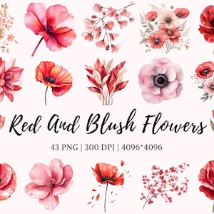 Blush Blume Clipart Bundle png, Aquarell Blume Clipart Bundle, Blumen Clipart, Blume png, Blumenstrauß, Hochzeit Blume Clipart png