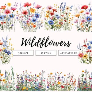 Bundle de clipart fleurs sauvages png, Bundle de cliparts floraux, Clipart floral aquarelle, Clipart fleurs sauvages aquarelle, Clipart Floral Boho