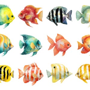 Butterfly fish clipart featuring a colorful tropical butterflyfish illustration in a detailed artistic style.
Tropical butterfly fish clipart digital download with vibrant colors, perfect for ocean-themed designs.
Butterflyfish clipart illustration ideal for marine life projects, scrapbooking, and digital artwork.
Colorful butterfly fish clipart with detailed fins and patterns for ocean and sea-themed crafts.
Butterfly fish clipart digital illustration suitable for printables, stickers.