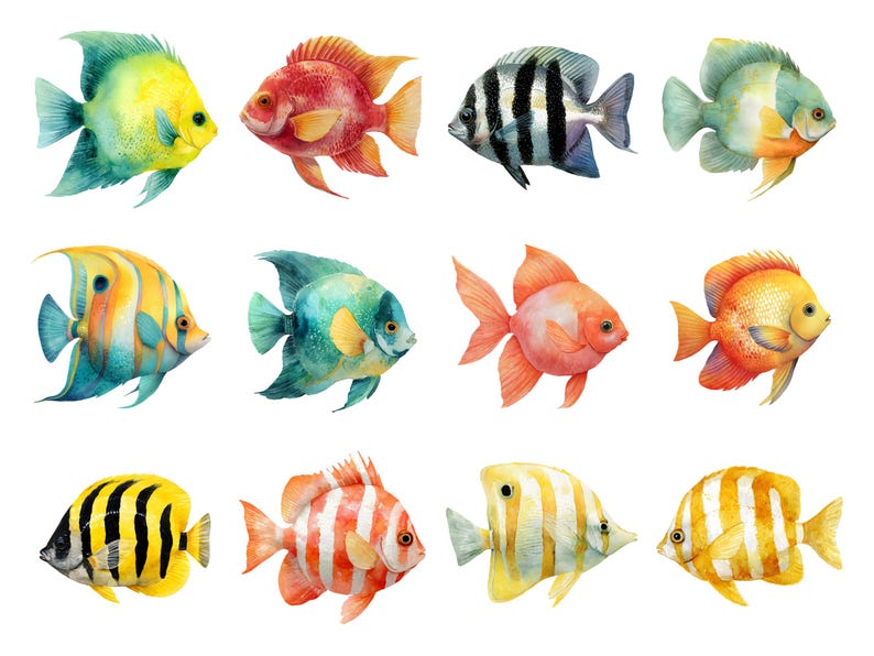 Butterfly fish clipart featuring a colorful tropical butterflyfish illustration in a detailed artistic style.
Tropical butterfly fish clipart digital download with vibrant colors, perfect for ocean-themed designs.
Butterflyfish clipart illustration ideal for marine life projects, scrapbooking, and digital artwork.
Colorful butterfly fish clipart with detailed fins and patterns for ocean and sea-themed crafts.
Butterfly fish clipart digital illustration suitable for printables, stickers.