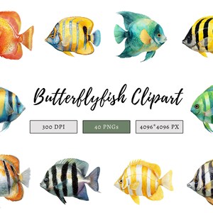 Butterfly fish clipart featuring a colorful tropical butterflyfish illustration in a detailed artistic style.
Tropical butterfly fish clipart digital download with vibrant colors, perfect for ocean-themed designs.
Butterflyfish clipart illustration ideal for marine life projects, scrapbooking, and digital artwork.
Colorful butterfly fish clipart with detailed fins and patterns for ocean and sea-themed crafts.
Butterfly fish clipart digital illustration suitable for printables, stickers.