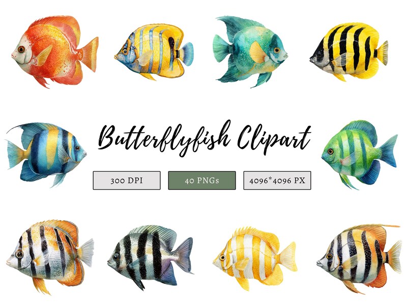 Butterfly fish clipart featuring a colorful tropical butterflyfish illustration in a detailed artistic style.
Tropical butterfly fish clipart digital download with vibrant colors, perfect for ocean-themed designs.
Butterflyfish clipart illustration ideal for marine life projects, scrapbooking, and digital artwork.
Colorful butterfly fish clipart with detailed fins and patterns for ocean and sea-themed crafts.
Butterfly fish clipart digital illustration suitable for printables, stickers.