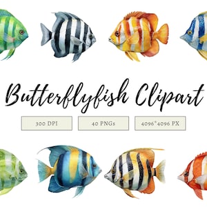 Butterfly fish clipart featuring a colorful tropical butterflyfish illustration in a detailed artistic style.
Tropical butterfly fish clipart digital download with vibrant colors, perfect for ocean-themed designs.
Butterflyfish clipart illustration ideal for marine life projects, scrapbooking, and digital artwork.
Colorful butterfly fish clipart with detailed fins and patterns for ocean and sea-themed crafts.
Butterfly fish clipart digital illustration suitable for printables, stickers.