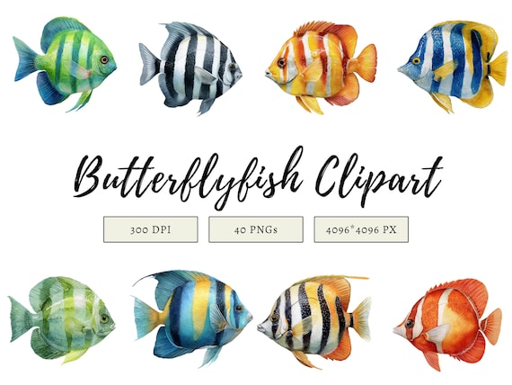 40 Butterfly Fish Clipart Set, Watercolor Fish Clipart, Tropical Fish png, Ocean Sea Life Clipart, High Quality Transparent png