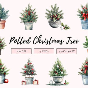 Clipart di albero di Natale in vaso png Bundle, Clipart di albero di Natale ad acquerello, Clipart di albero di Natale, PNG di Natale, PNG di albero