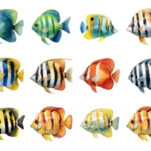 Butterfly fish clipart featuring a colorful tropical butterflyfish illustration in a detailed artistic style.
Tropical butterfly fish clipart digital download with vibrant colors, perfect for ocean-themed designs.
Butterflyfish clipart illustration ideal for marine life projects, scrapbooking, and digital artwork.
Colorful butterfly fish clipart with detailed fins and patterns for ocean and sea-themed crafts.
Butterfly fish clipart digital illustration suitable for printables, stickers.