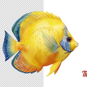 Butterfly fish clipart featuring a colorful tropical butterflyfish illustration in a detailed artistic style.
Tropical butterfly fish clipart digital download with vibrant colors, perfect for ocean-themed designs.
Butterflyfish clipart illustration ideal for marine life projects, scrapbooking, and digital artwork.
Colorful butterfly fish clipart with detailed fins and patterns for ocean and sea-themed crafts.
Butterfly fish clipart digital illustration suitable for printables, stickers.