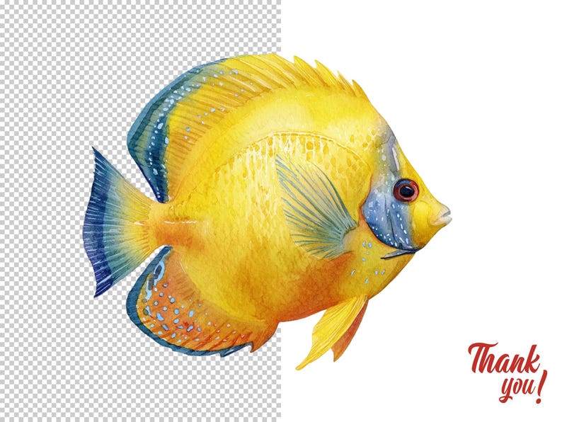 Butterfly fish clipart featuring a colorful tropical butterflyfish illustration in a detailed artistic style.
Tropical butterfly fish clipart digital download with vibrant colors, perfect for ocean-themed designs.
Butterflyfish clipart illustration ideal for marine life projects, scrapbooking, and digital artwork.
Colorful butterfly fish clipart with detailed fins and patterns for ocean and sea-themed crafts.
Butterfly fish clipart digital illustration suitable for printables, stickers.