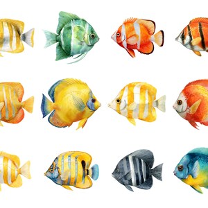Butterfly fish clipart featuring a colorful tropical butterflyfish illustration in a detailed artistic style.
Tropical butterfly fish clipart digital download with vibrant colors, perfect for ocean-themed designs.
Butterflyfish clipart illustration ideal for marine life projects, scrapbooking, and digital artwork.
Colorful butterfly fish clipart with detailed fins and patterns for ocean and sea-themed crafts.
Butterfly fish clipart digital illustration suitable for printables, stickers.