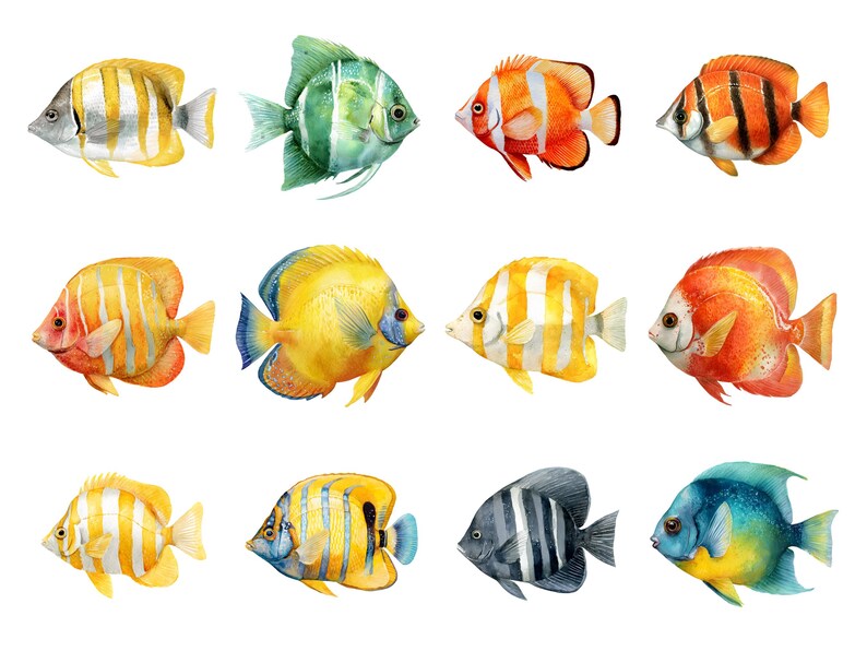 Butterfly fish clipart featuring a colorful tropical butterflyfish illustration in a detailed artistic style.
Tropical butterfly fish clipart digital download with vibrant colors, perfect for ocean-themed designs.
Butterflyfish clipart illustration ideal for marine life projects, scrapbooking, and digital artwork.
Colorful butterfly fish clipart with detailed fins and patterns for ocean and sea-themed crafts.
Butterfly fish clipart digital illustration suitable for printables, stickers.