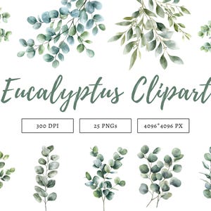 Watercolor Eucalyptus Clipart Set, Botanical Greenery Clipart png, Silver Dollar Greenery Clipart, Eucalyptus png Bundle