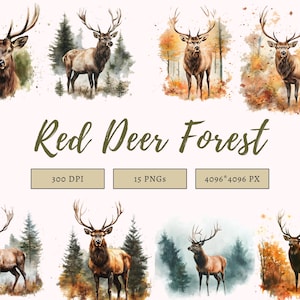 Red Deer Clipart set, Red Deer Clipart Bundle png, Watercolor Red Deer Clipart, Reed Deer Forest Clipart, Instant Download