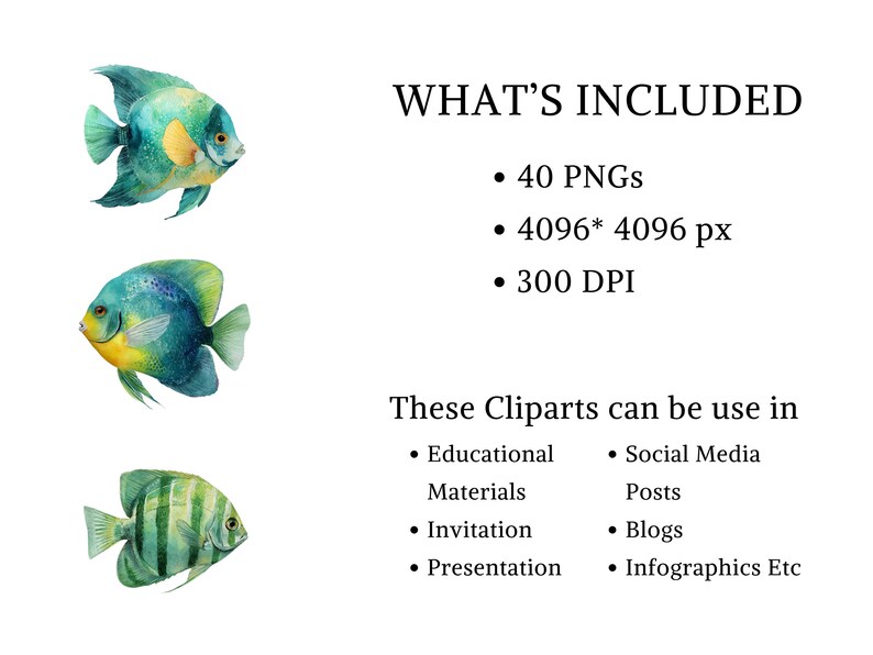 Butterfly fish clipart featuring a colorful tropical butterflyfish illustration in a detailed artistic style.
Tropical butterfly fish clipart digital download with vibrant colors, perfect for ocean-themed designs.
Butterflyfish clipart illustration ideal for marine life projects, scrapbooking, and digital artwork.
Colorful butterfly fish clipart with detailed fins and patterns for ocean and sea-themed crafts.
Butterfly fish clipart digital illustration suitable for printables, stickers.