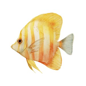 Butterfly fish clipart featuring a colorful tropical butterflyfish illustration in a detailed artistic style.
Tropical butterfly fish clipart digital download with vibrant colors, perfect for ocean-themed designs.
Butterflyfish clipart illustration ideal for marine life projects, scrapbooking, and digital artwork.
Colorful butterfly fish clipart with detailed fins and patterns for ocean and sea-themed crafts.
Butterfly fish clipart digital illustration suitable for printables, stickers.