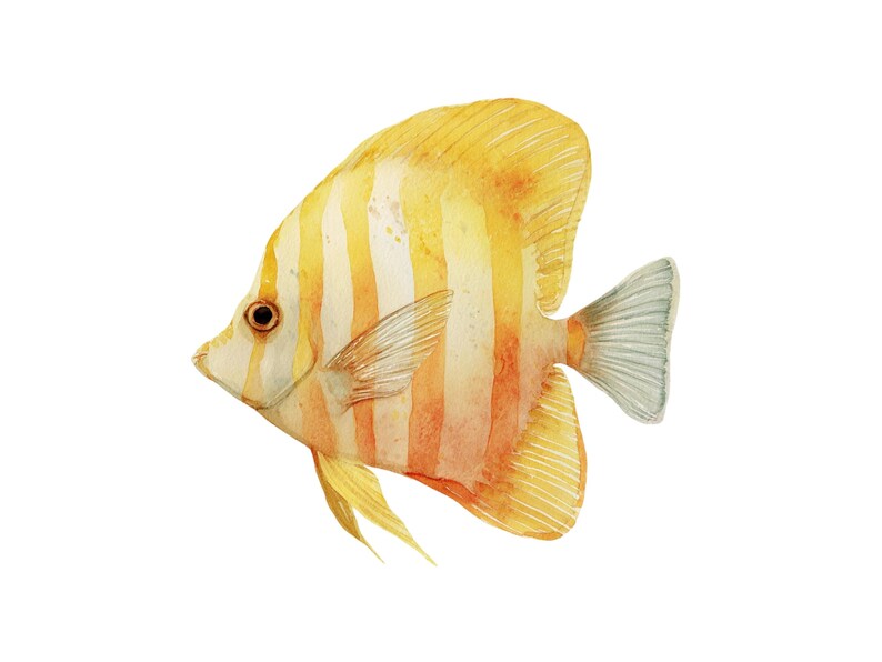 Butterfly fish clipart featuring a colorful tropical butterflyfish illustration in a detailed artistic style.
Tropical butterfly fish clipart digital download with vibrant colors, perfect for ocean-themed designs.
Butterflyfish clipart illustration ideal for marine life projects, scrapbooking, and digital artwork.
Colorful butterfly fish clipart with detailed fins and patterns for ocean and sea-themed crafts.
Butterfly fish clipart digital illustration suitable for printables, stickers.