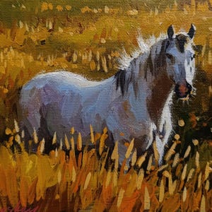 White horse Horse art painting Wild horse in field Sunset and horse Landscape with wild horse Cowboy horse Portrait of a pet Original 3D art