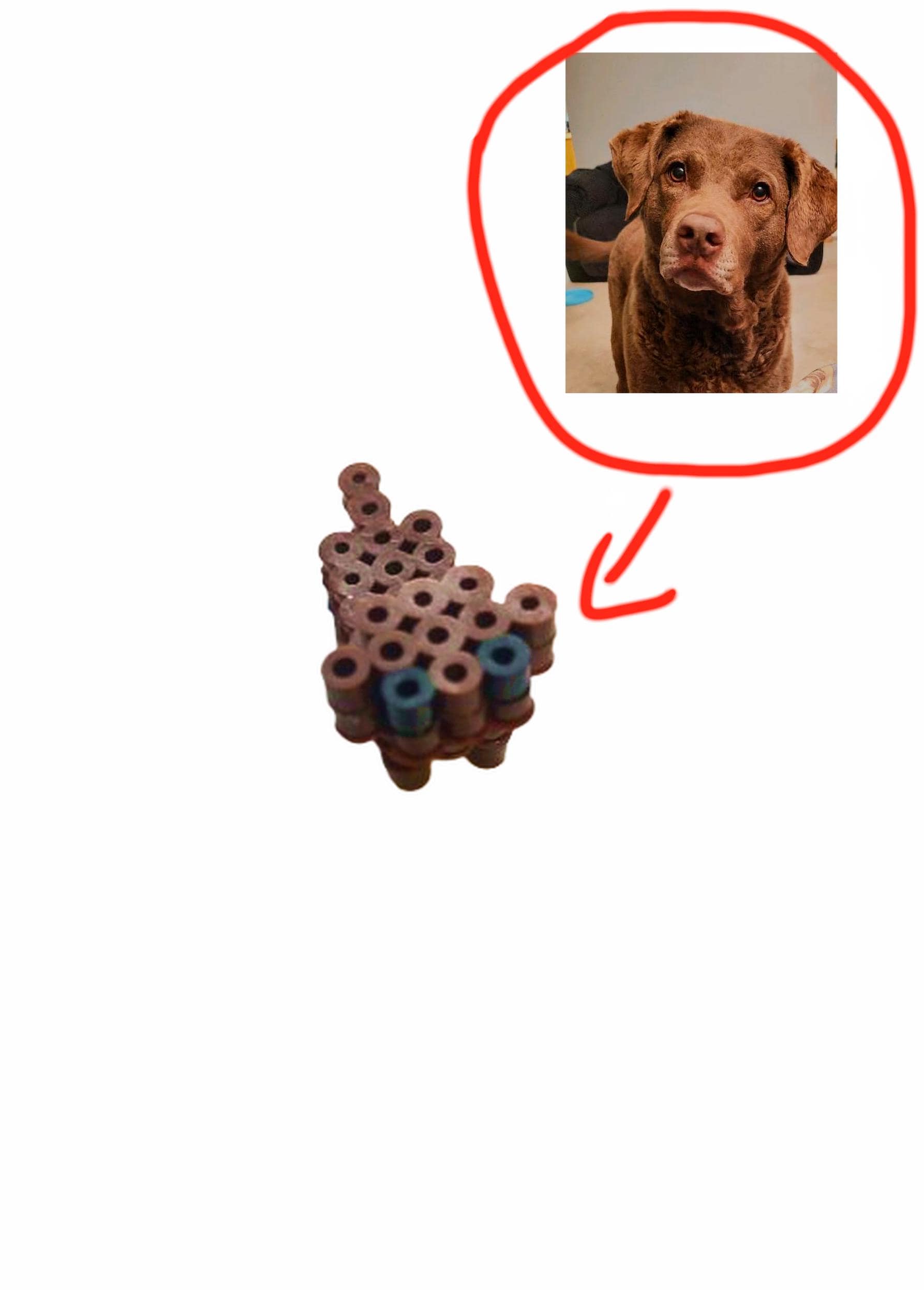 Custom Perler Bead Dog - Etsy