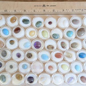 May include: A collection of 49 oval-shaped gemstones displayed in individual clear plastic containers. The gemstones are various colors, including green, blue, red, purple, brown, and white.