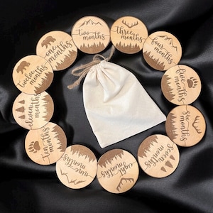 Baby Milestone Tracker, 1-12 Monthly Baby milestone cards, Monthly Wooden Milestone Discs, Outdoor Month Signs Baby