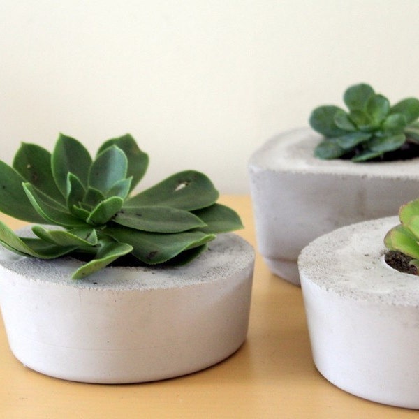 Indoor/Outdoor and Awesome Concrete Planter -Circle-