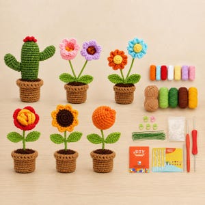 Op de afbeelding: Een haakpakket met zes potplanten, waaronder een cactus en diverse bloemen in rood, geel, oranje, roze, paars en blauw. Bevat garenbundels, haaknaalden, groen draad, steekmarkeerders en instructieboekjes.
