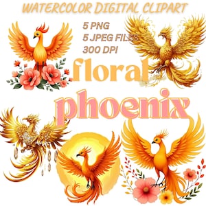 Aquarell Phönix Clipart, Digitaldruck Sofort-Download, Digitaldruck Sofort-Download, 300 dpi, Phoenix PNG