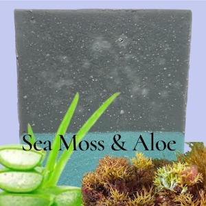 Sea Moss Aloe Soap: Coconut, Olive & Shea Oils