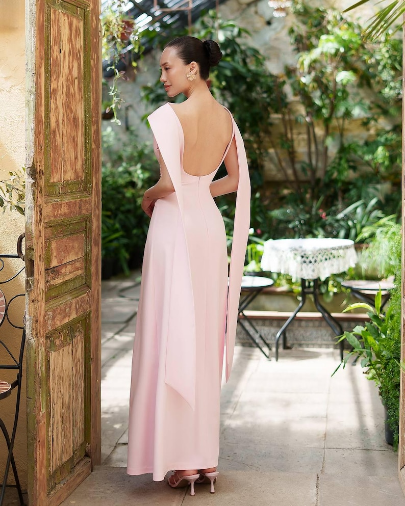 Puede incluir: Un vestido largo rosa p&aacute;lido con la espalda baja y mangas tipo capa. El vestido se lleva con tacones a juego. El escenario es al aire libre, con una puerta de madera y exuberante vegetaci&oacute;n en el fondo.