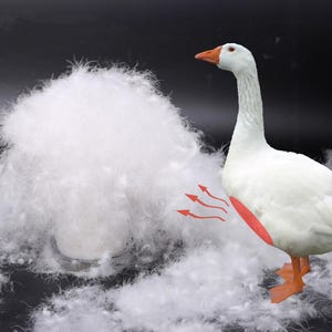 Goose down, natural down, pillow filling, down filling, home decoration, duvet, duck down, original filling.