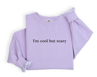Custom Text Embroidered Shirt, Comfort Color Custom Text Sweatshirt, I'm Cool But Teary Shirt, Matching Custom Shirts
