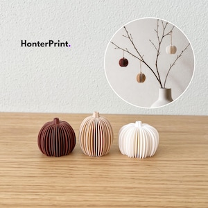 May include: Three small, ribbed, pumpkin-shaped ornaments in dark brown, light tan, and white. The text HonterPrint is visible. An inset circular image shows similar ornaments hanging from branches in a vase, demonstrating their use as hanging decor.