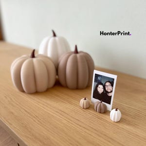 Puede incluir: Tres calabazas de tamaño mediano en blanco, beige y marrón con tallos de color marrón oscuro, acompañadas de tres calabazas en miniatura a juego y una pequeña fotografía rectangular de dos personas, con el texto HonterPrint. visible.