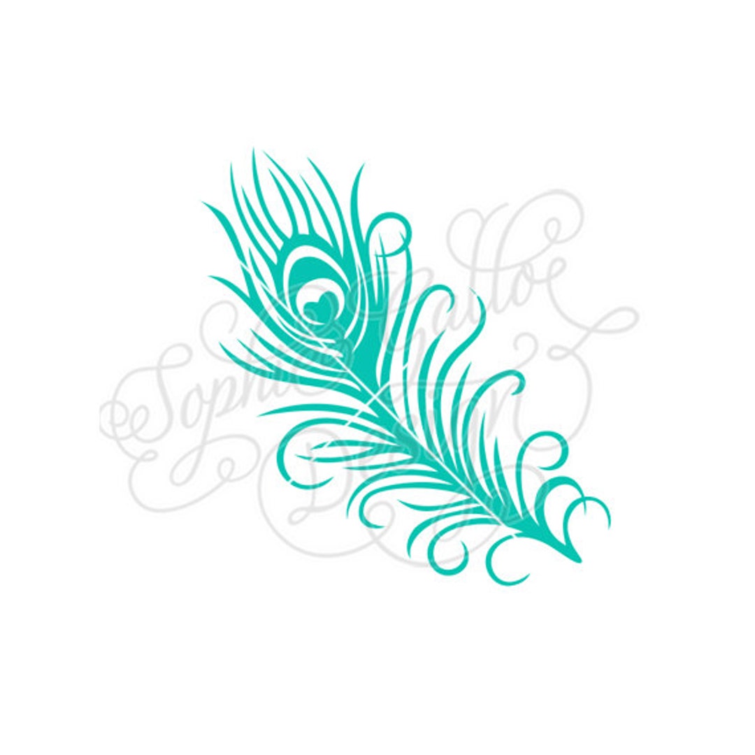 Peacock Feathers Stock Illustration - Download Image Now - Peacock,  Watercolor Painting, Illustration - iStock