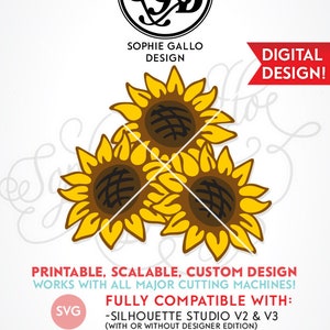 Free Free 312 Flower Overlay Svg SVG PNG EPS DXF File