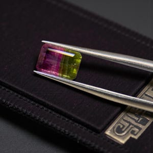 Natural Watermelon Tourmaline 1.82 CT Mozambique Bicolor Loose Gemstone