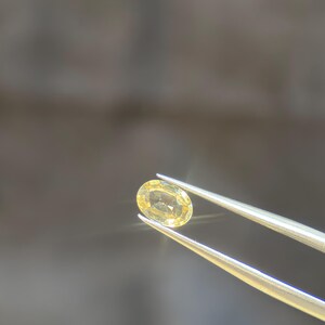 May include: A vibrant yellow, oval gemstone is held by silver tweezers against a blurred backdrop. The gem reflects light, highlighting its clarity and colour. This image showcases the beauty of the gemstone.