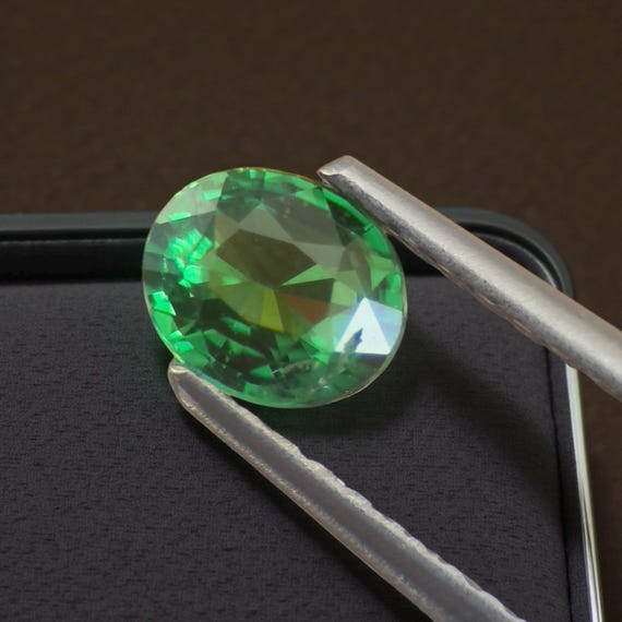 Natural Tsavorite Garnet: 1.07 CTs Vivid Green, Loose Gemstone, Jeweler and collector Gem