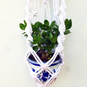 K&ouml;nnte beinhalten: Ein wei&szlig;er Makramee-Pflanzenh&auml;nger mit einer kleinen Sukkulente im Topf. Die Pflanze befindet sich in einem wei&szlig;en Keramiktopf mit blauen und wei&szlig;en Blumenmustern.