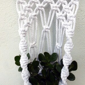 K&ouml;nnte beinhalten: Ein wei&szlig;er Makramee-Pflanzenh&auml;nger mit einer gr&uuml;nen Sukkulentenpflanze im Inneren.