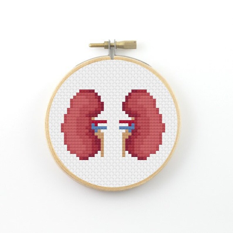 Anatomical kidneys Cross Stitch pattern geek pattern kidney Etsy