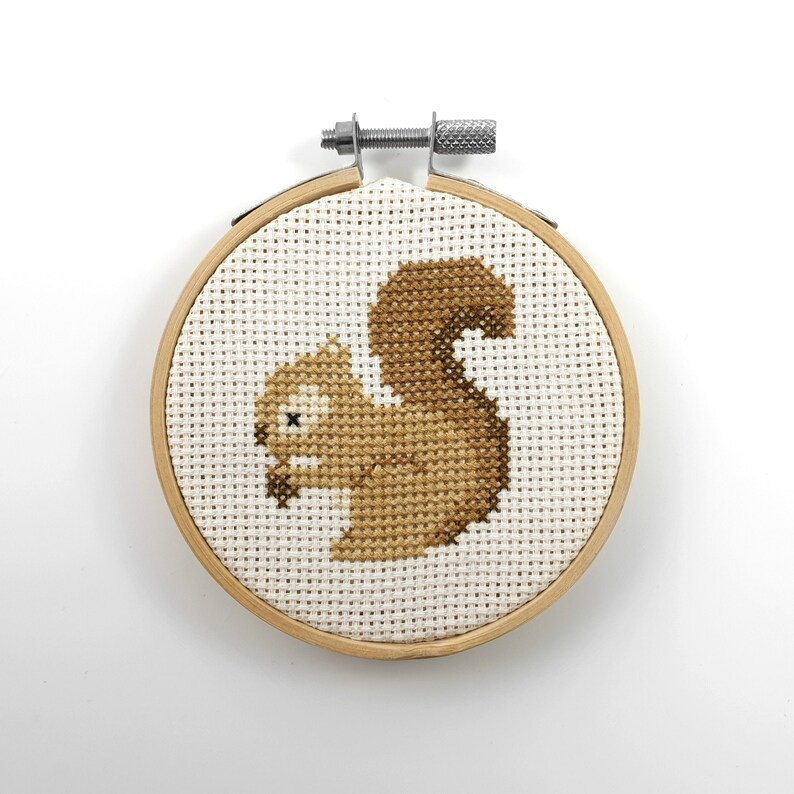 Squirrel cross stitch pattern animal cross stitch counted | Etsy