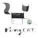 Avatar belonging to ringcat