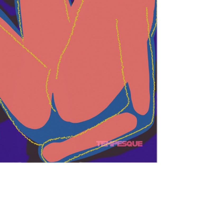 May include: Abstract art print featuring a composition of coral-colored shapes against a deep blue background. Thin yellow lines outline the shapes. The word "TEMPESQUE" is printed in white at the bottom right corner.