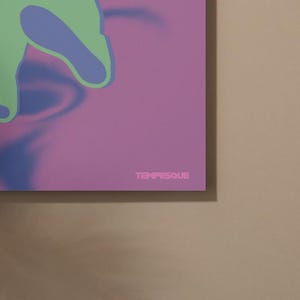 May include: A modern art print featuring a green and blue abstract shape on a pink background. The word "TEMPESQUE" is printed in pink at the bottom right corner of the artwork.
