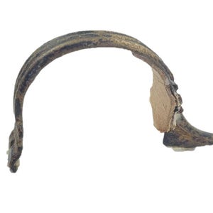 Ancient Celtic (probably) or Roman brooch (fibula) from an old collection of bronze Celtiberian items