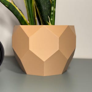 May include: A geometric, tan-colored planter with a faceted design. The planter holds a green plant with yellow-striped leaves. The planter sits on a gray surface, and the background is a neutral color.