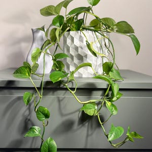 Hecta Geometric Plant Pot | Modern Decorative Pot | Indoor Plant Pot | Home and Office Decor
