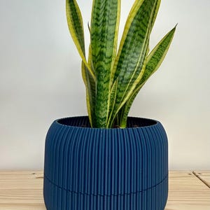Original plant pot - The Big Bubly | Large Bubly potting pot for plant | Plant pot