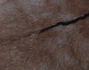 Mules sabots noires épaisses en cuir de veau à poils longs